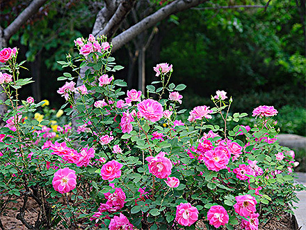 江南登录入口产品展示五