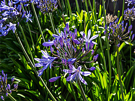 江南登录入口客户案例一