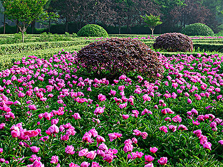 江南登录入口产品展示四