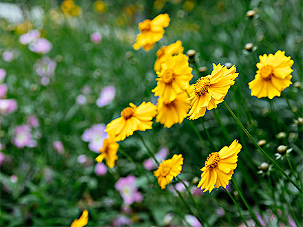 江南登录入口种植基地三