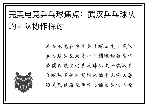 完美电竞乒乓球焦点：武汉乒乓球队的团队协作探讨