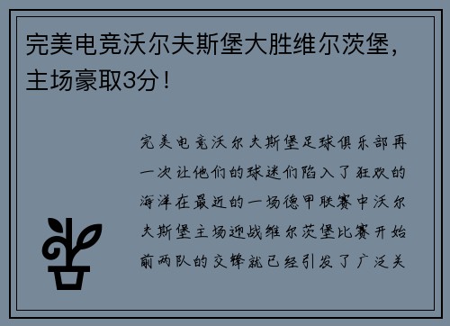 完美电竞沃尔夫斯堡大胜维尔茨堡，主场豪取3分！